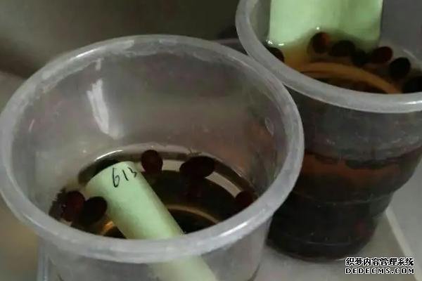 蔬菜生產中為何常使用溫湯浸種