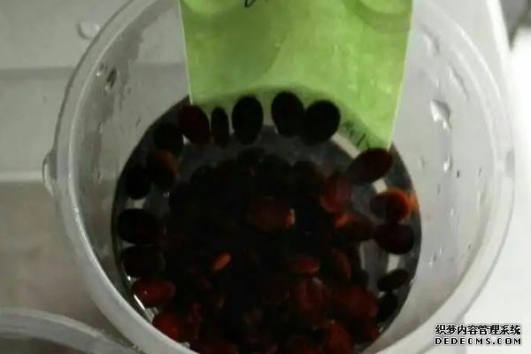 蔬菜生產中為何常使用溫湯浸種