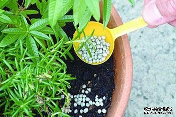 花卉施肥方法，不同種類對肥料的要求不同
